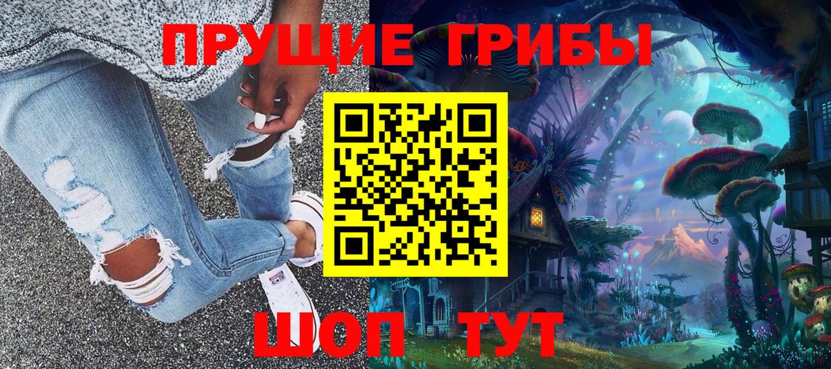 Губаха  Галлюциногенные грибы Psilocybine cubensis  Вход с VPN 